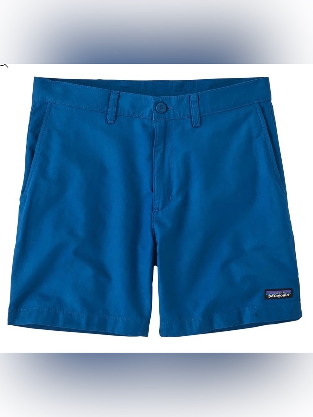 Patagonia Men’s Flat Front Chino Shorts Sz 34